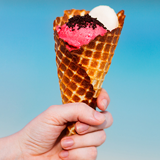 포토갤러리 이미지