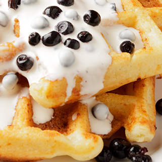 포토갤러리 이미지