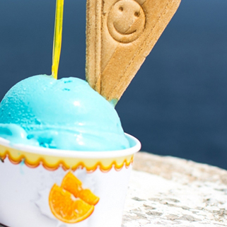 포토갤러리 이미지