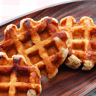 포토갤러리 이미지