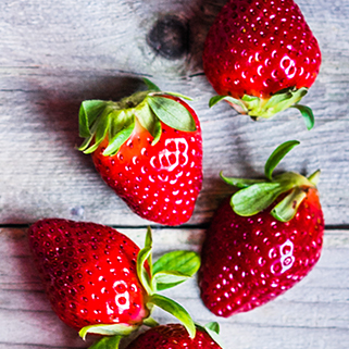 포토갤러리 이미지